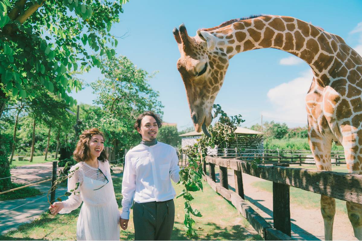 動物園,動物園婚紗,創意婚紗