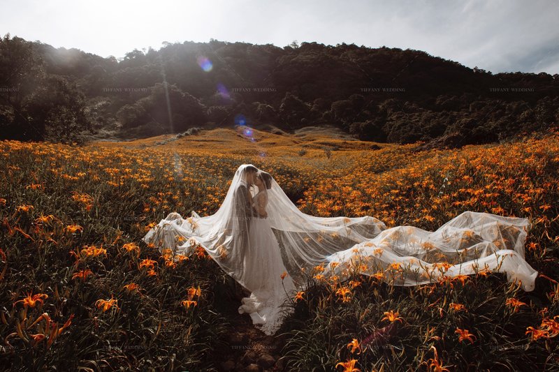拍婚紗,婚紗照,自助婚紗,流行色,PANTONE