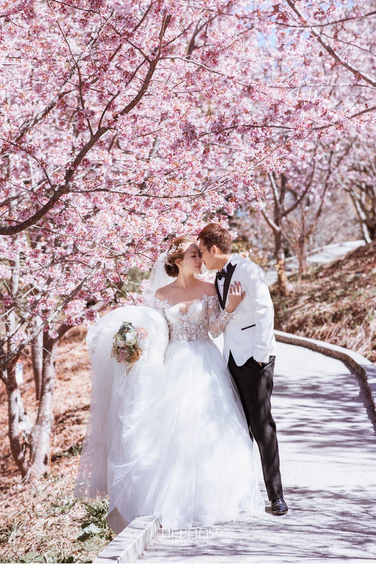 陽明山櫻花婚紗,武陵農場櫻花婚紗,淡水莊園櫻花婚紗,櫻花婚紗,拍婚紗