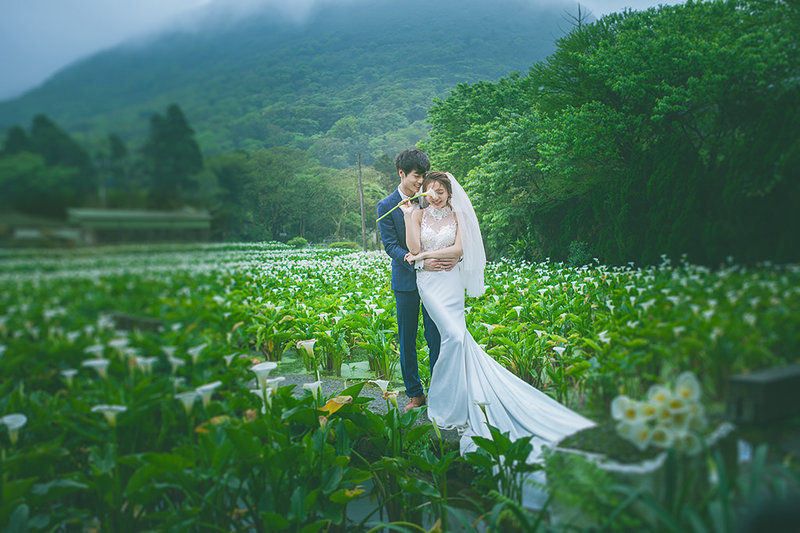 拍婚紗,陽明山,台北婚紗景點