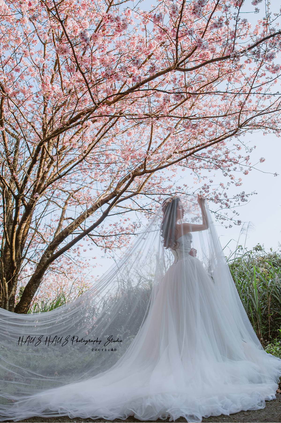 拍婚紗月份,花海婚紗,婚紗行程,發現好室