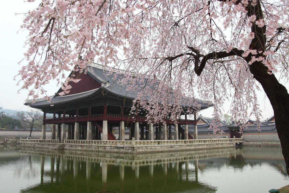 韓國點心,糖餅,居家甜點,食譜