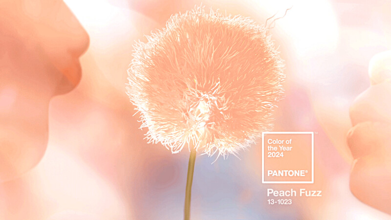 PANTONE,新娘造型,Peach Fuzz 柔和桃